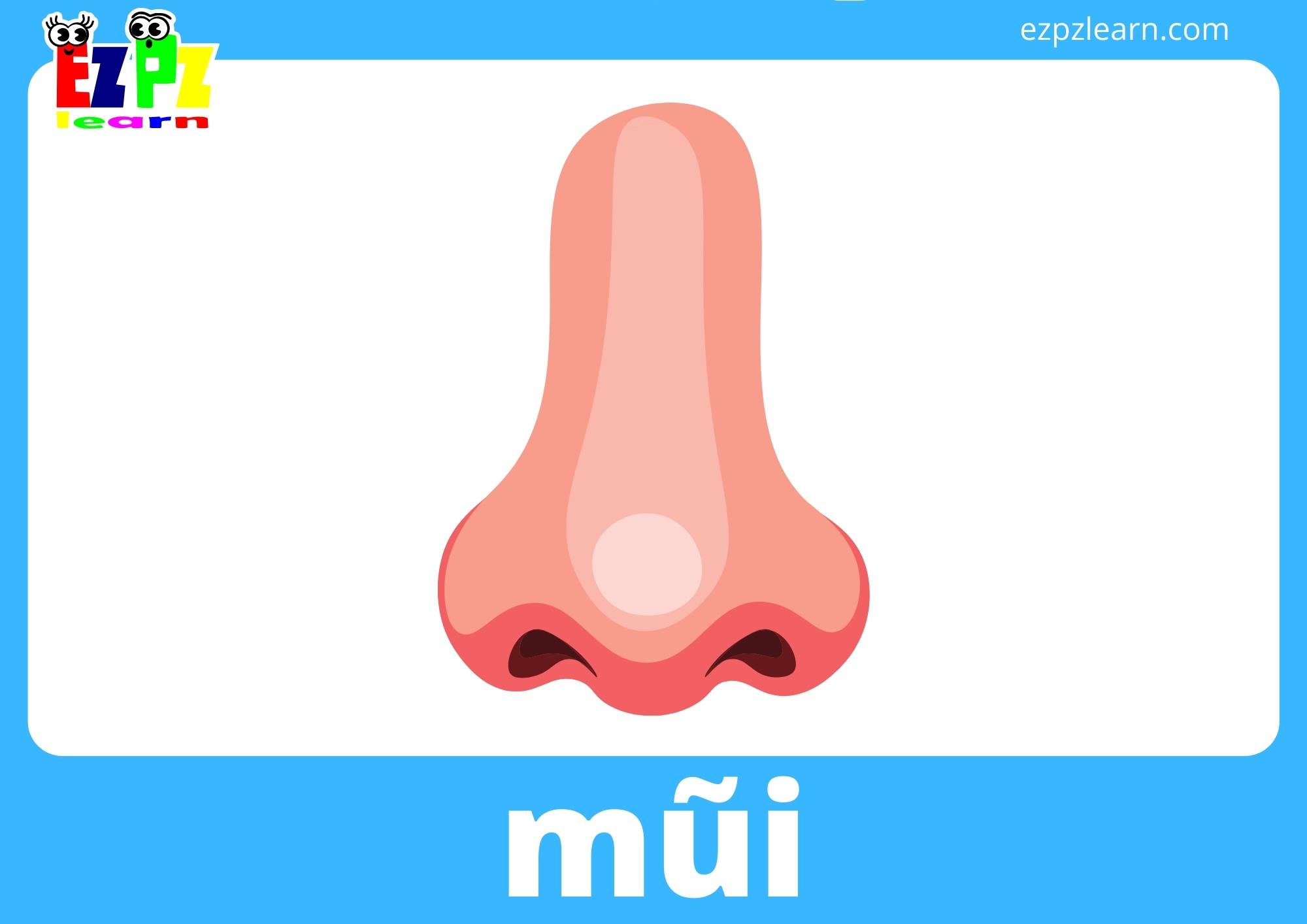 mũi
